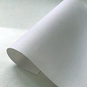 שמשונית מקרוב